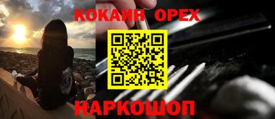 крисы Заводоуковск