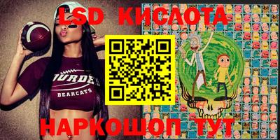 крисы Заводоуковск