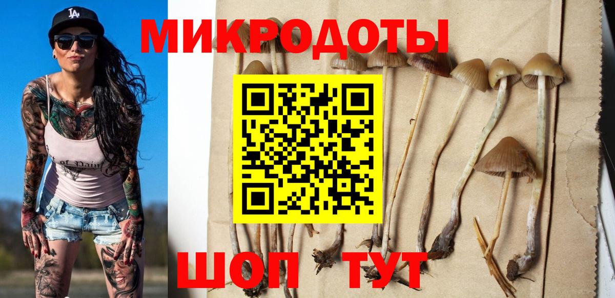 Псилоцибиновые грибы Psilocybe Кушва